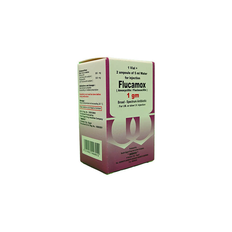 FLUCAMOX 1 GM VIAL