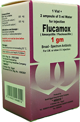 FLUCAMOX 1 GM VIAL