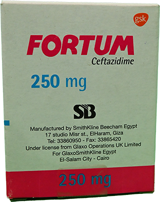 FORTUM 250 MG VIAL