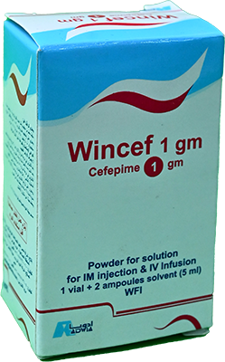 WINCEF 1000 MG IV/IM 1 VIAL