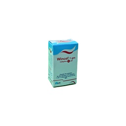 [49228] WINCEF 1000 MG IV/IM 1 VIAL
