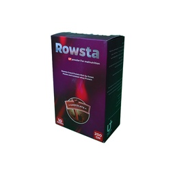 [105430] ROWSTA CHOCOLATE FLAVOR 200 GM 10 SACHETS